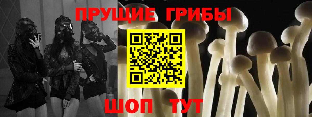 Галлюциногенные грибы мухоморы Ишим